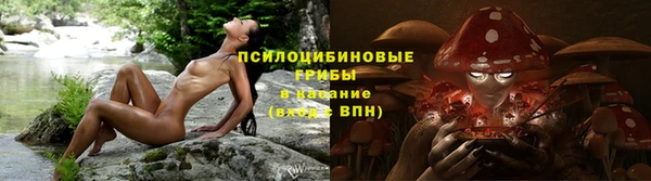 стаф Арсеньев