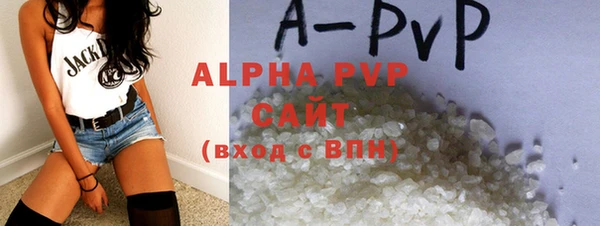 стаф Арсеньев