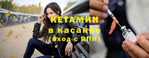 стаф Арсеньев