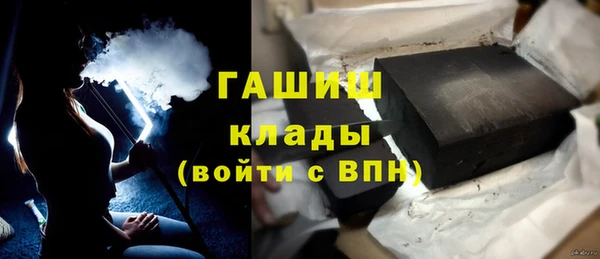 стаф Арсеньев