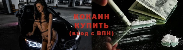 стаф Арсеньев