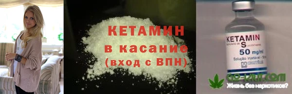 стаф Арсеньев