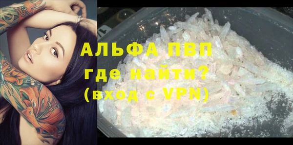 стаф Арсеньев