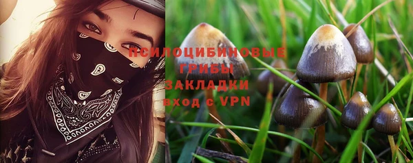 a pvp Армянск