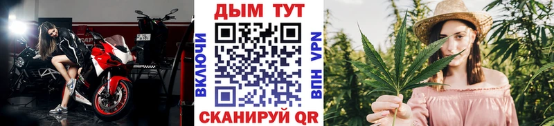 МАРИХУАНА ГИДРОПОН  мориарти состав  Чадан 